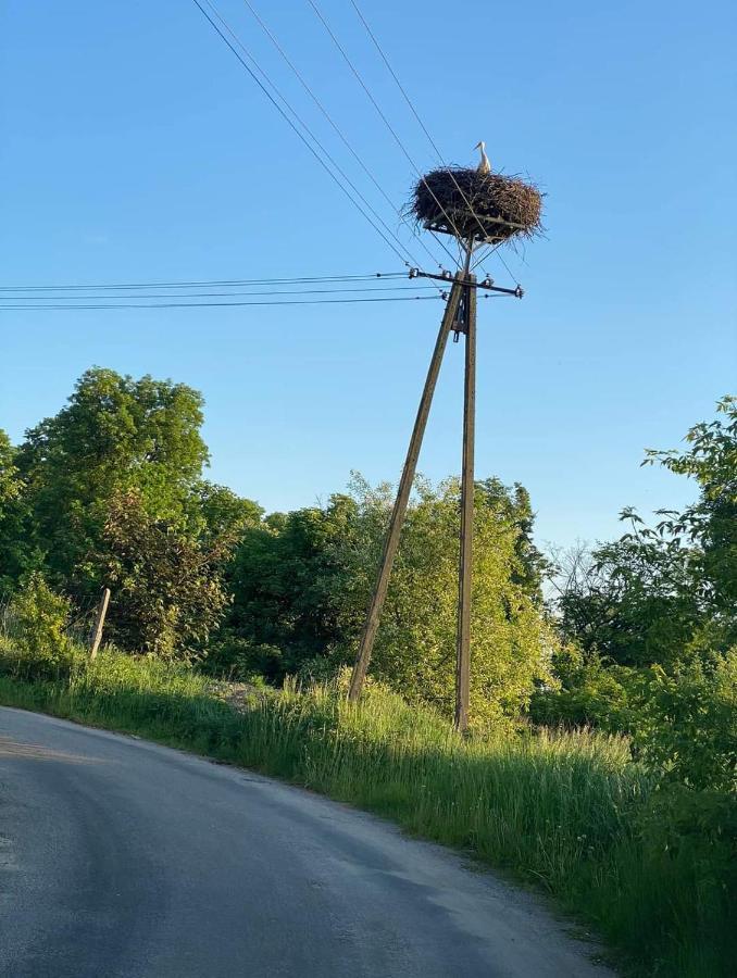 Gospoda Pazibroda Maków Mazowiecki Exterior foto
