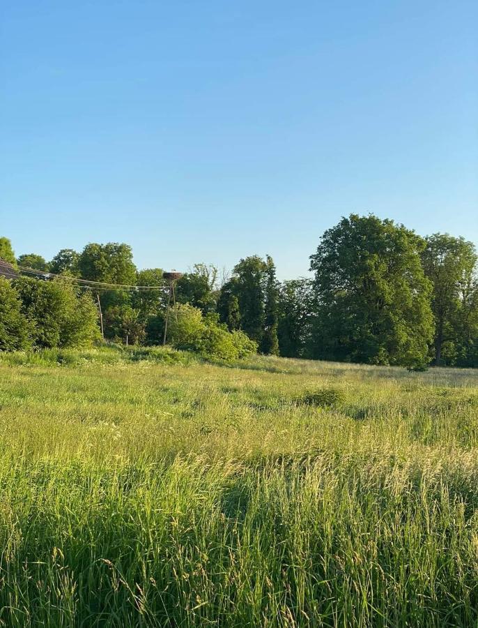 Gospoda Pazibroda Maków Mazowiecki Exterior foto